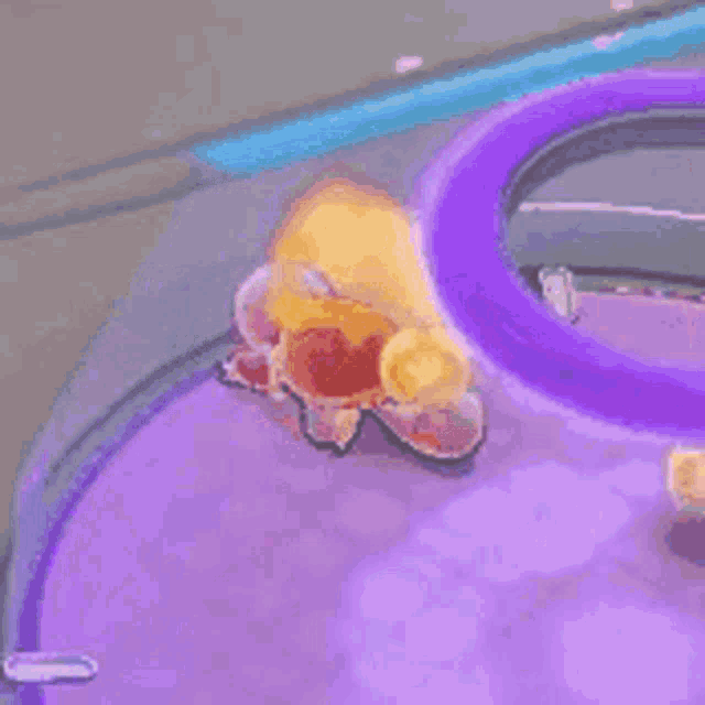 Pokemon Pokemon Unite GIF - Pokemon Pokemon Unite Squirtle GIFs