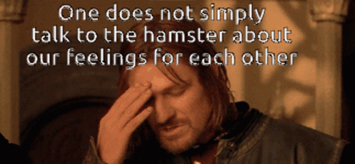 Lord Of The Rings One Does Not GIF - Lord Of The Rings One Does Not Simply GIFs