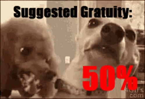 Snarl S Uggested Gratuity GIF - Snarl S Uggested Gratuity Dog GIFs