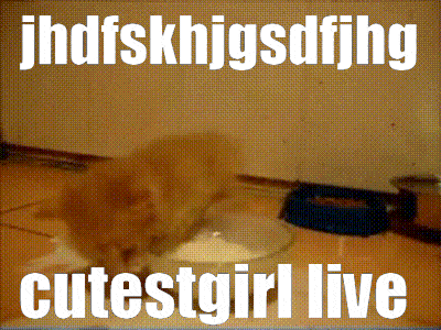 a picture of a cat with the words cutestgirl live on it