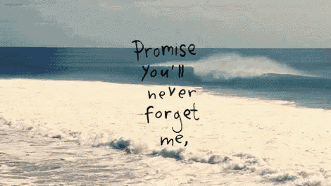 a beach scene with the words promise you 'll never forget me written on it