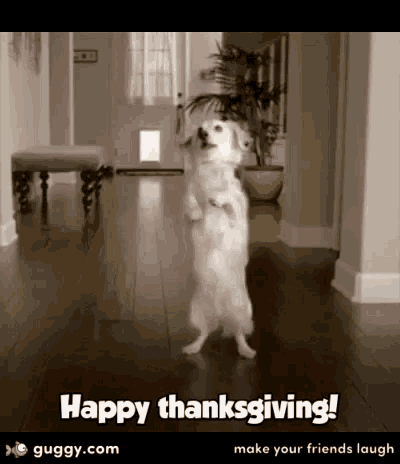 a dog is standing on its hind legs in a hallway and says happy thanksgiving