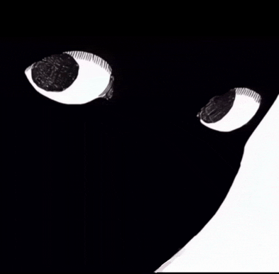 a black and white drawing of a cat 's eyes on a black background