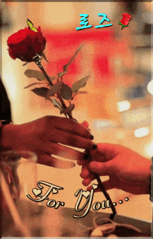 a person giving a rose to another person with the words for you