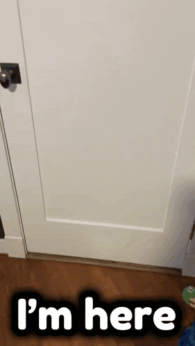 a mario puppet is behind a glass door with the words i 'm here