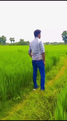 a man in a white shirt and blue jeans is standing in a field