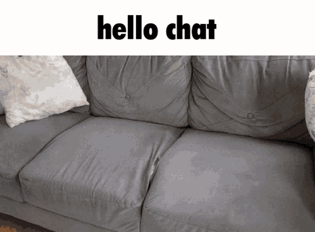 Hello Chat Cat GIF - Hello Chat Cat Couch GIFs