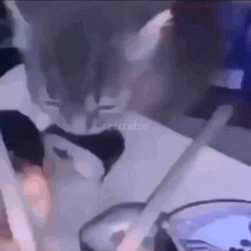 a cat is licking a person 's face with a spoon in a video .
