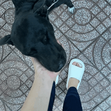 a person wearing white sandals holds a black dog on their wrist