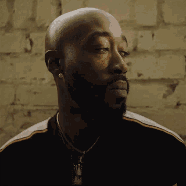 a bald man with a beard wearing earrings and a necklace