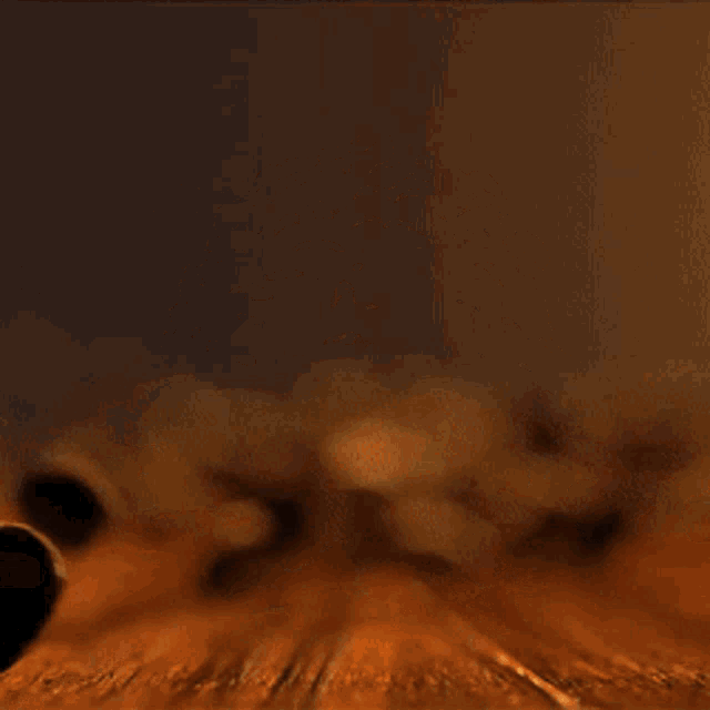 Coffee Beans GIF - Coffee Beans Cafe GIFs