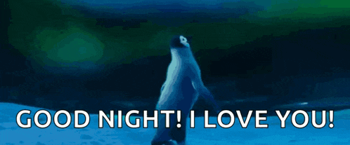a penguin is standing in the water with the words `` good night ! i love you ! '' below it .