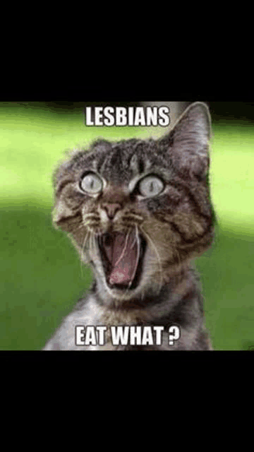 a cat is making a funny face with its mouth open and the words `` lesbians eat what ? ''