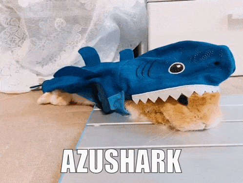 a cat wearing a shark costume with the word azushark written on it