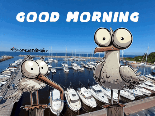 Morning Mornings GIF - Morning Mornings Funny GIFs