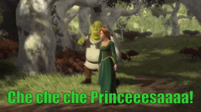 Shrek Che Che Che Princesa GIF - Shrek Che Che Che Princesa Princesa GIFs