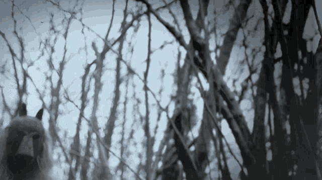 Witch Horror GIF - Witch Horror Creepy GIFs