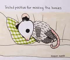 a cartoon of an opossum laying on a pillow with the words " tested positive for missing the homies "