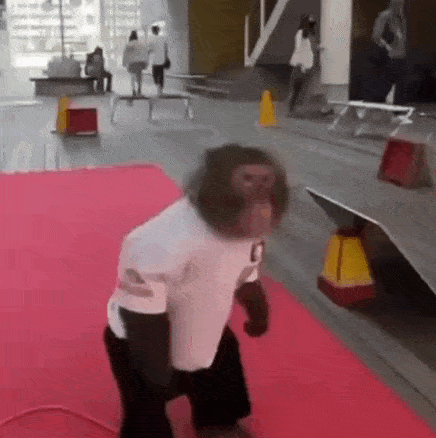 a monkey is standing on a red carpet in front of a building .