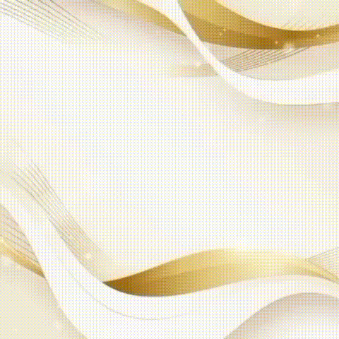 a logo for north server with a white and gold background
