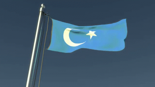 East Turkestan Uyghur GIF - East Turkestan Uyghur Uyghuristan GIFs