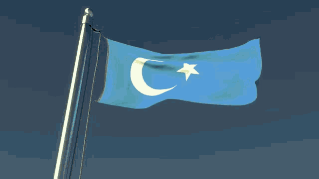 a blue flag with a white crescent moon and star on it