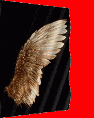 Flag Angel Wings GIF