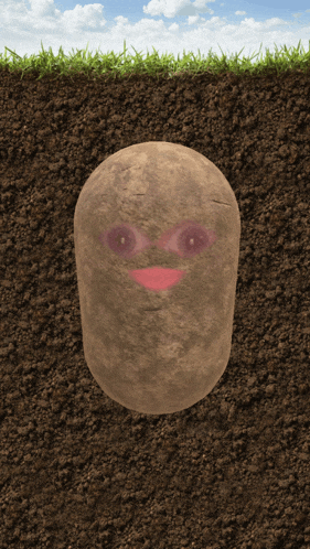 a potato with a face drawn on it is sitting in the dirt