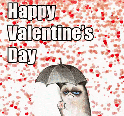 Happy Valentines Day Cat GIF - Antisocial Cat Valentines Day GIFs