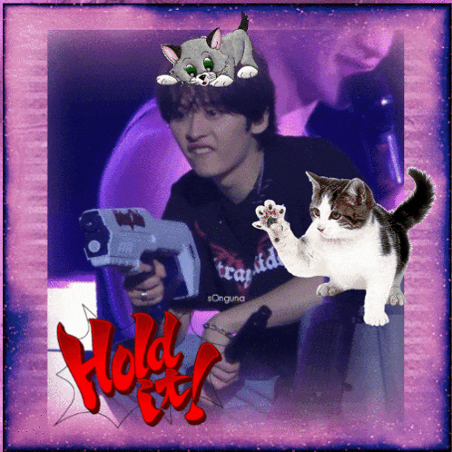 a picture of a man holding a gun with a cat on his head and the word hold on in red