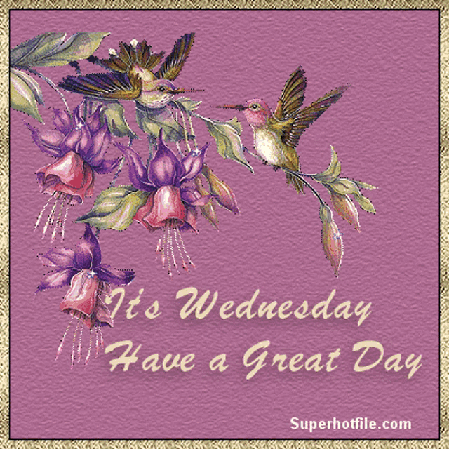 a wednesday greeting card with hummingbirds and flowers