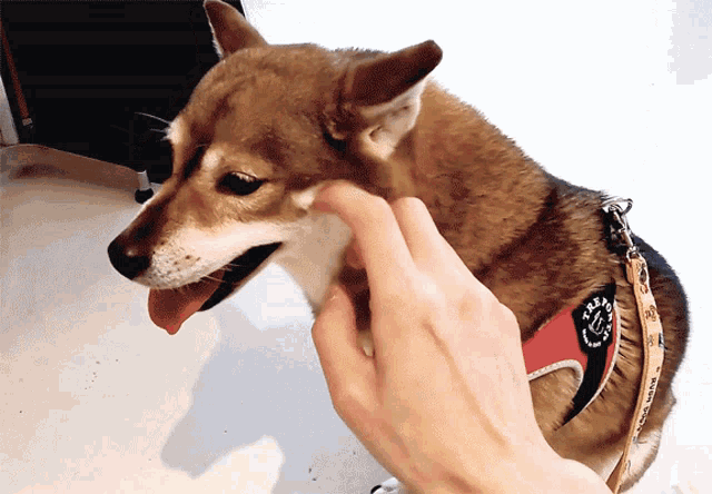 Aron Kkotsoon GIF