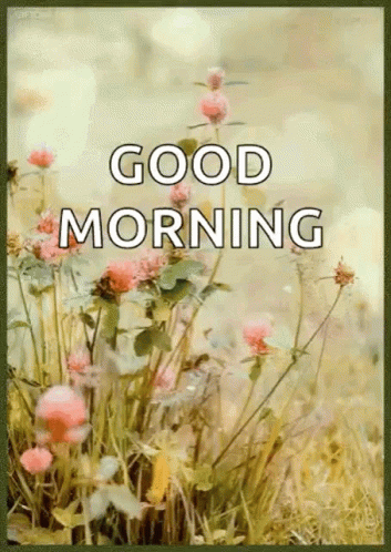 Good Morning Flowers GIF - Good Morning Flowers Calm GIFs