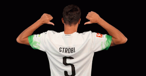 Tobias Strobl Borussia GIF - Tobias Strobl Strobl Borussia GIFs