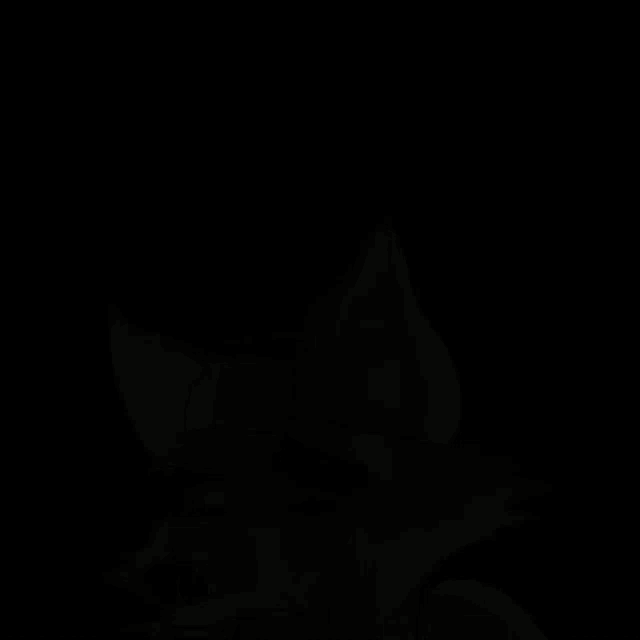 Cunning Foxes Beep GIF - Cunning Foxes Beep GIFs