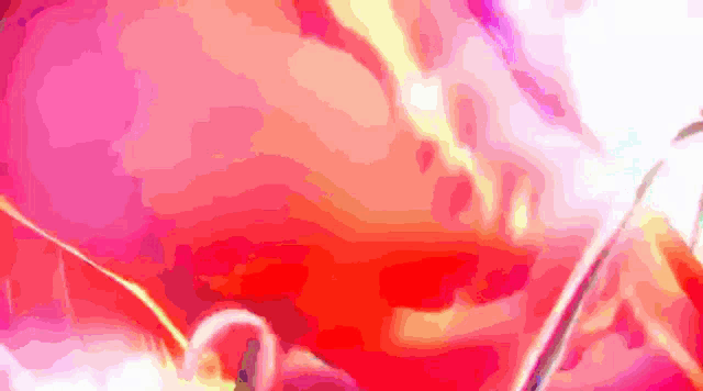 a pink and red background with a few lines