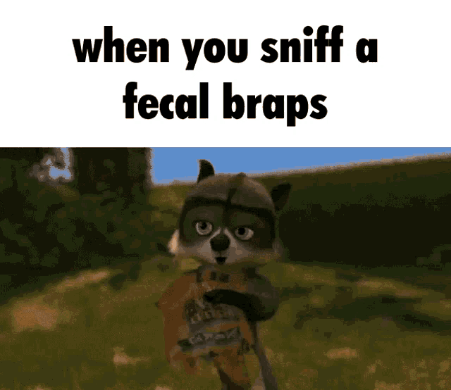 Meme Over The Hedge GIF