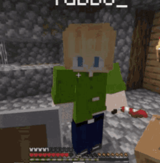 a person in a green shirt is standing in a room in a minecraft video game .