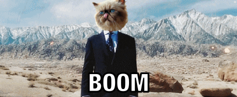 a cat wearing a suit and tie with the word boom on the bottom