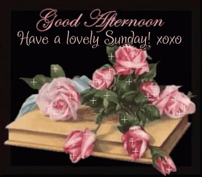 Sunday Sunday Afternoon GIF - Sunday Sunday Afternoon Roses GIFs