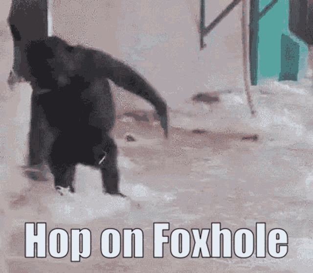 Foxhole Hop On GIF - Foxhole Hop On Monkey GIFs