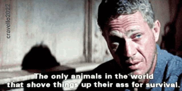 the only animals in the world that shove things up their ass for survival ..