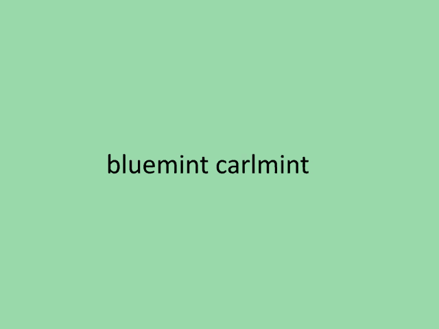 the word bluemint is on a green background .