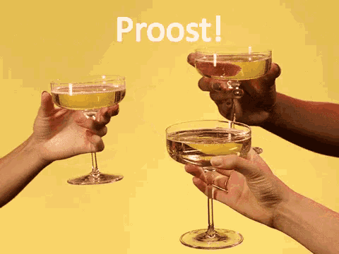 a group of people toasting with champagne glasses with the words proost written on the bottom
