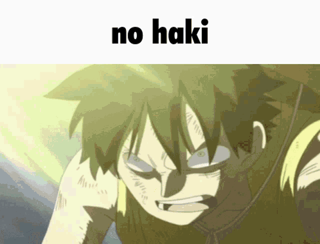 a picture of a cartoon character with the words " no haki " above him