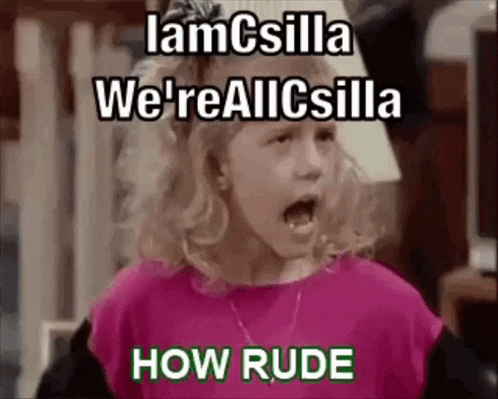 a girl is making a funny face with her mouth open and the words `` how rude '' on the bottom .