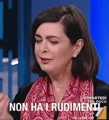 Laura Boldrini Non Hai Rudimenti GIF - Laura Boldrini Non Hai Rudimenti Rudimenti GIFs