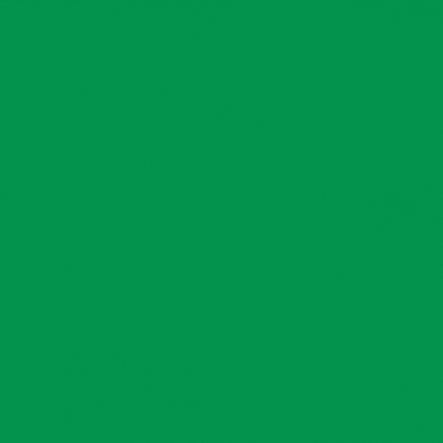 the logo for lojas quero quero is green and white