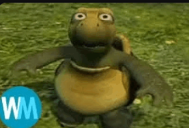 Turtle Fezu GIF - Turtle Fezu GIFs