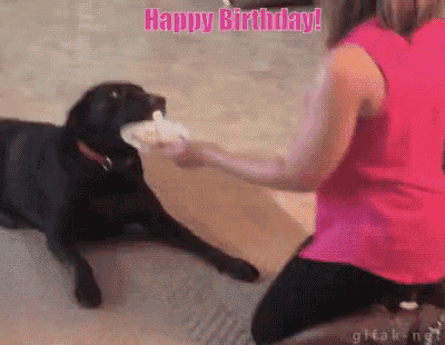 a woman in a pink shirt is feeding a black dog a cupcake ..